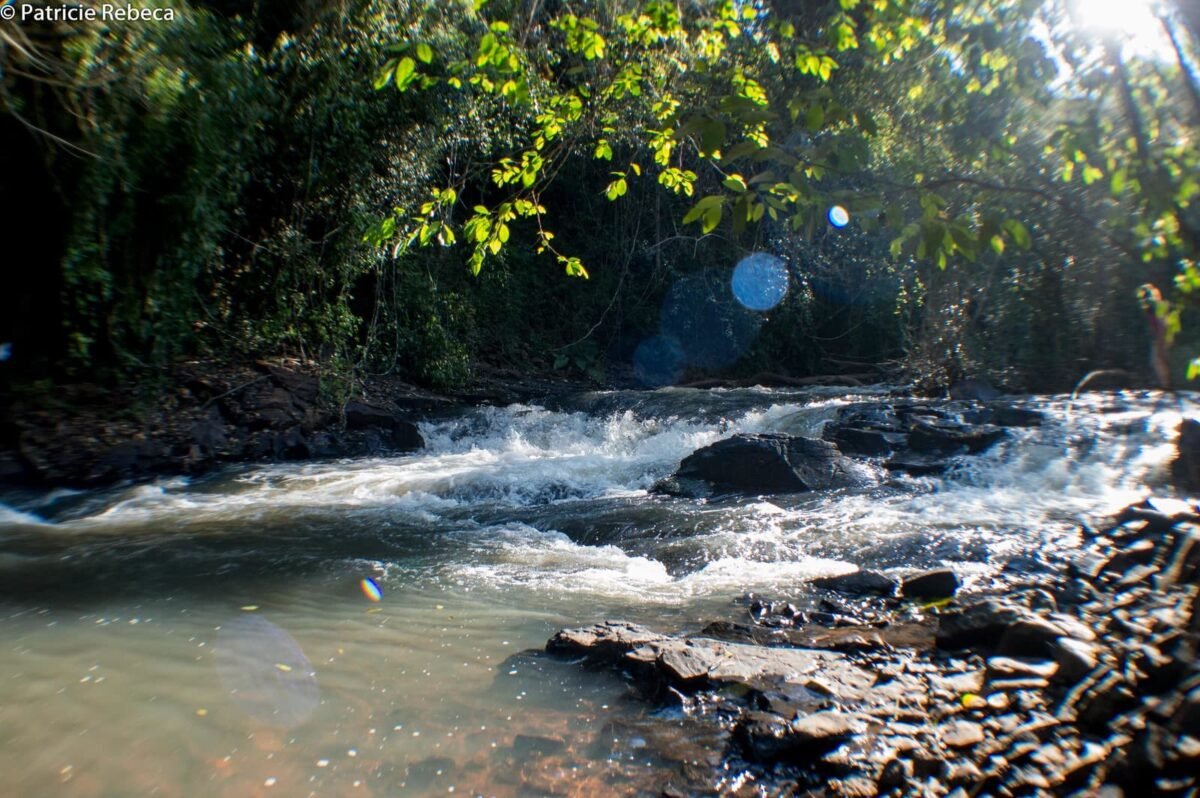 Iguassu Secret Falls: opção de 2 ou 4 trilhas, com várias cachoeiras e uma vasta beleza natural, em Foz do Iguaçu!