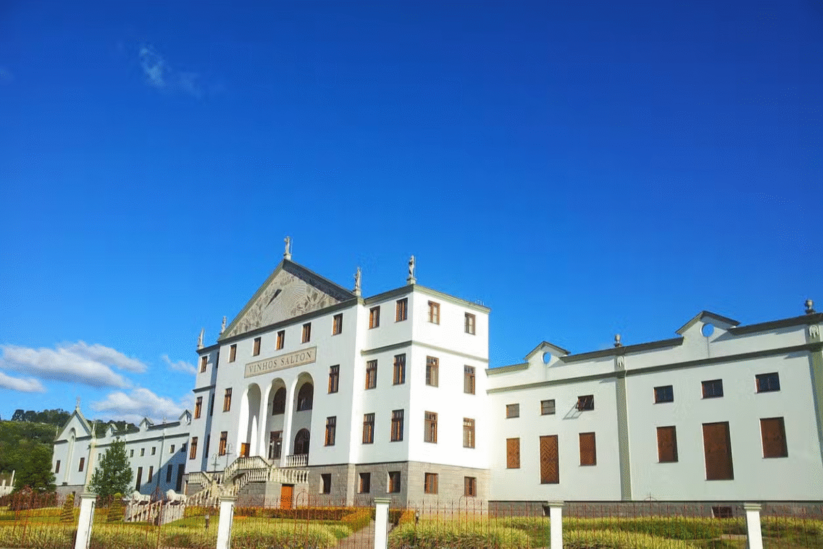 Entre Vinhedos e Montanhas: Explore o Vale do Rio das Antas com Degustações Incríveis!