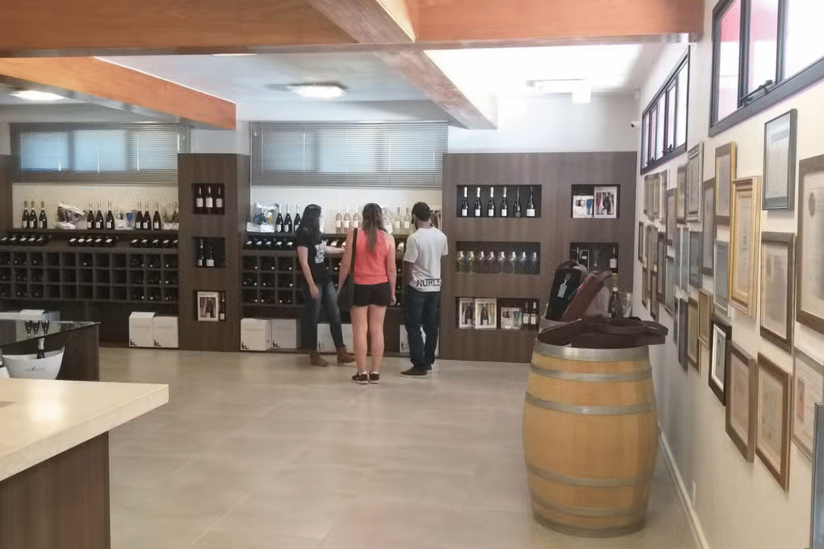 Da Videira ao Cálice: Tour do Vinho em Caxias do Sul e Flores da Cunha!