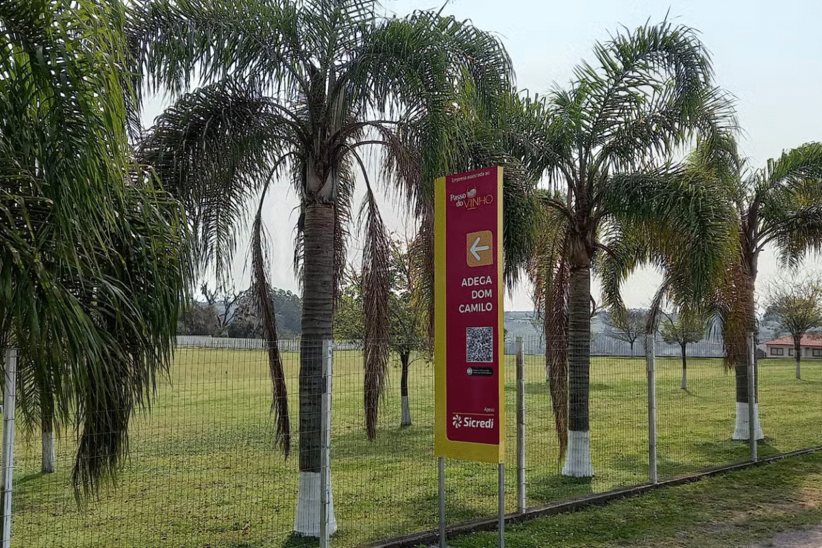 Da Videira ao Cálice: Tour do Vinho em Caxias do Sul e Flores da Cunha!