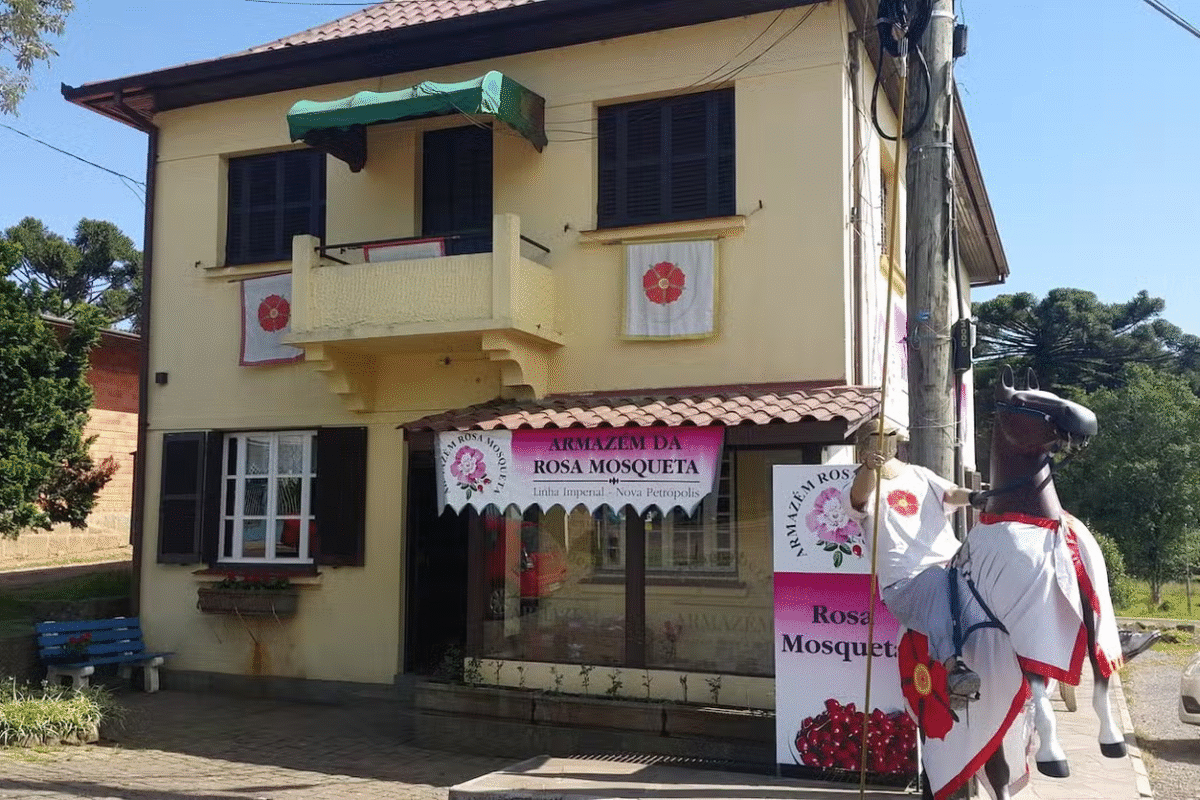 Tradição Alemã na Serra Gaúcha: Viva o Encanto de Nova Petrópolis!