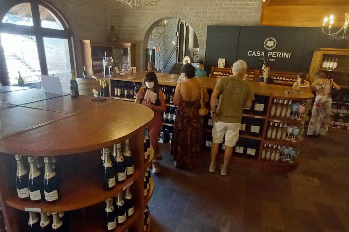 Vale Trentino: Vinhos, Paisagens e Sabores na Serra Gaúcha!