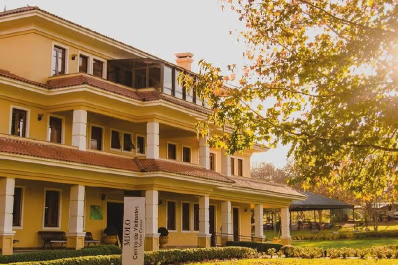 Vale dos Vinhedos: Vinhos, Histórias & Degustações Inesquecíveis!