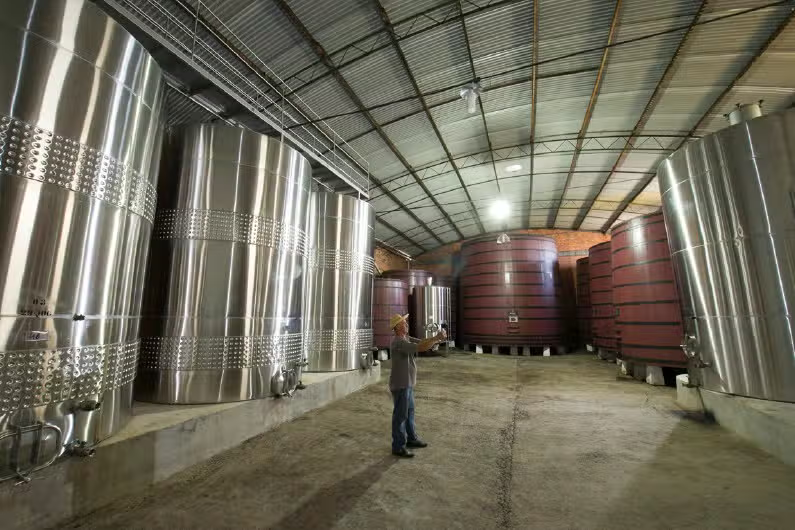 Vale dos Vinhedos: Vinhos, Histórias & Degustações Inesquecíveis!