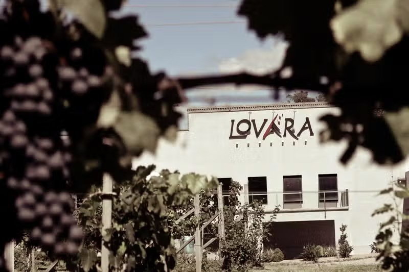 Vale dos Vinhedos: Vinhos, Histórias & Degustações Inesquecíveis!