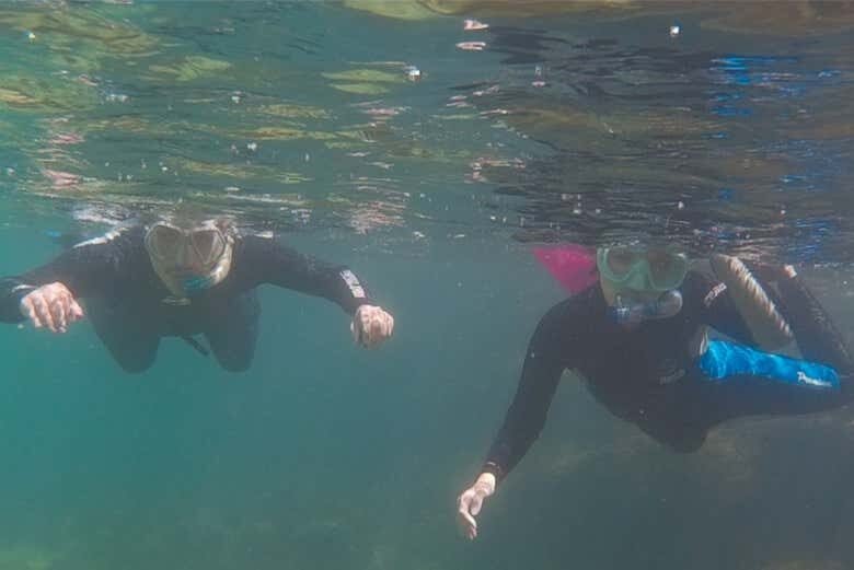 Descubra a Vida Marinha com Snorkel em Ilhabela: Aventura para Toda a Família!