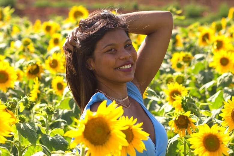 Descubra a Holanda Brasileira: Tour Completo por Holambra