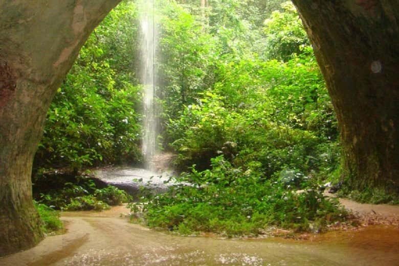 Excursão às Cataratas de Presidente Figueiredo: Natureza Amazônica a Partir de Manaus!