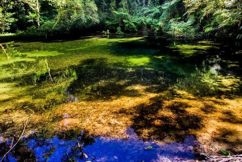 Trilha até a Cachoeira do Guaratuba: Aventure-se na Natureza Selvagem!