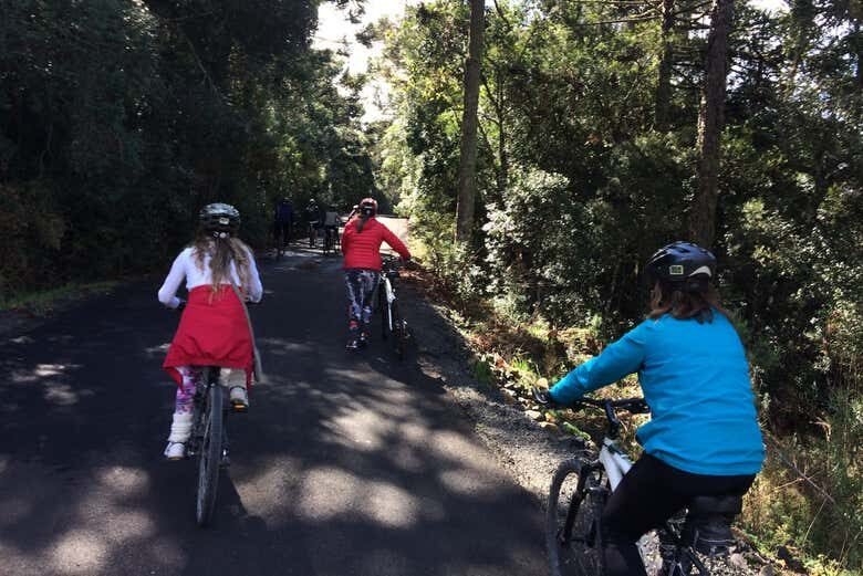 Pedalando Entre Vinhedos: Tour de Bicicleta na Villaggio Bassetti com Degustação