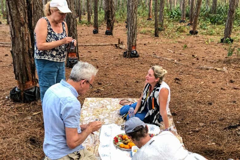 Passeio a Cavalo na Barra da Lagoa – Entre Praia e Reserva Natural!