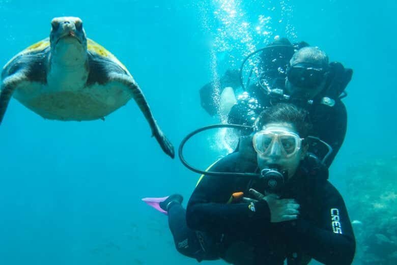 Batismo de Mergulho em Arraial do Cabo: Aventuras Submersas Incríveis!