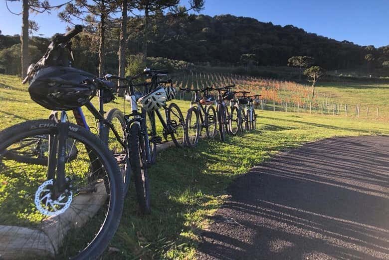 Pedalando Entre Vinhedos: Tour de Bicicleta na Villaggio Bassetti com Degustação