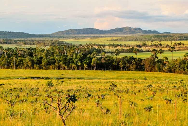 Exploração Encantadora na Ilha do Bananal e Parque do Cantão em 3 Dias!