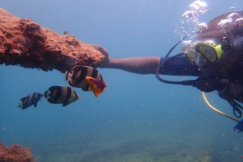 Mergulho de Batismo em Porto da Barra!