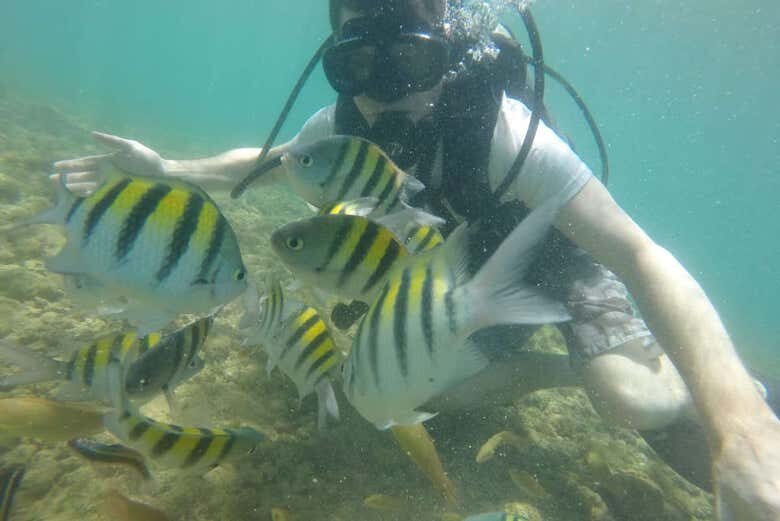 Batismo de Mergulho em Morro de São Paulo: Descubra o Mundo Submarino!