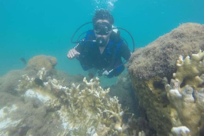 Batismo de Mergulho em Morro de São Paulo: Descubra o Mundo Submarino!