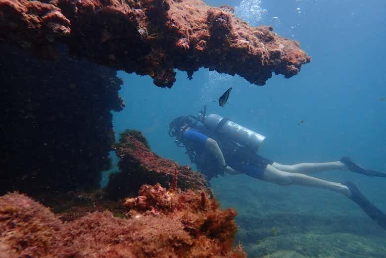 Aventura Submarina na Baía de Todos-os-Santos: Explore Tesouros Submersos!