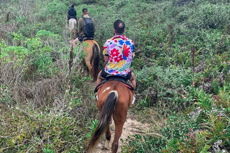 Passeio a Cavalo na Barra da Lagoa – Entre Praia e Reserva Natural!