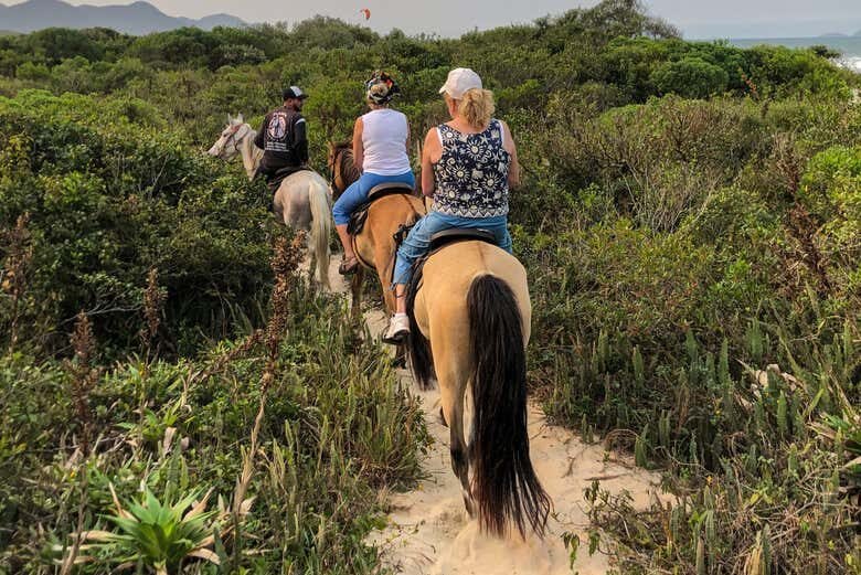 Passeio a Cavalo na Barra da Lagoa – Entre Praia e Reserva Natural!