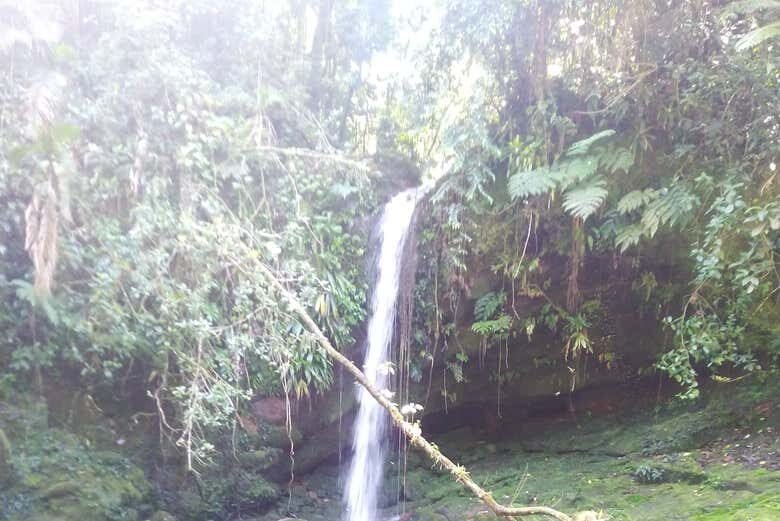 Trilha pelas Cachoeiras de Ubatuba: Exploração e Beleza Natural!