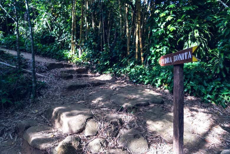 Conecte-se com a Natureza: Trilha Incrível em Pedra Bonita no Rio de Janeiro!