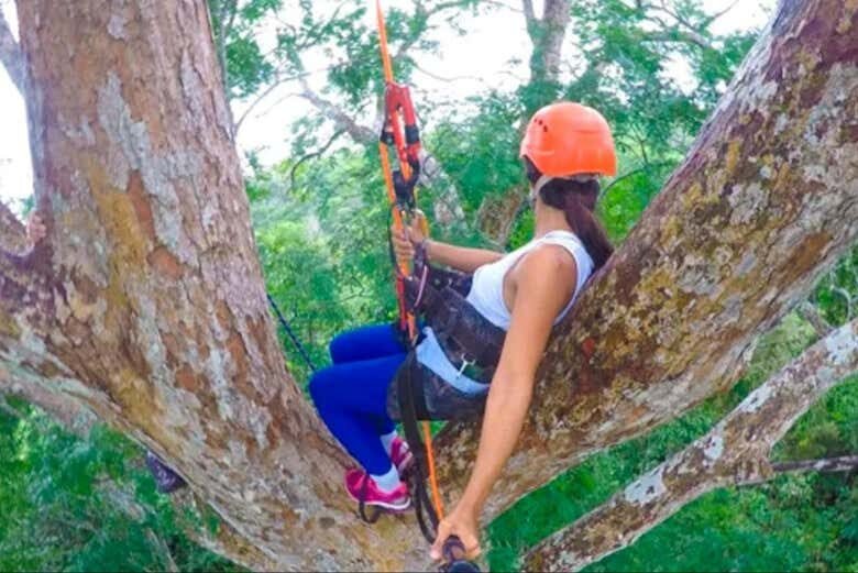 Aventura na Floresta Amazônica: Emoção e Natureza!