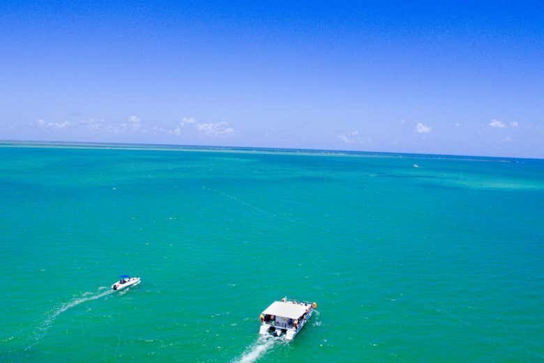 Excursão a Maragogi - Mergulhe nas Águas Cristalinas!