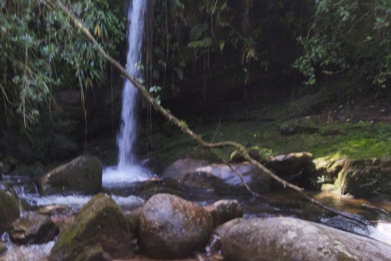 Trilha pelas Cachoeiras de Ubatuba: Exploração e Beleza Natural!