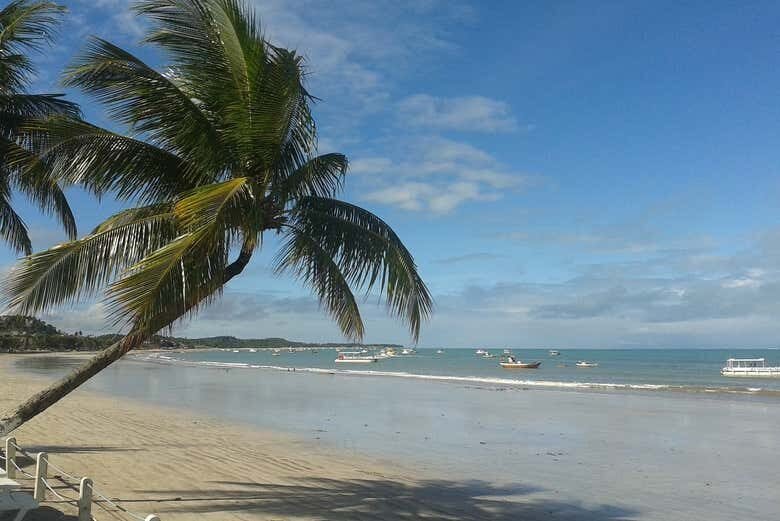 Excursão a Maragogi - Mergulhe nas Águas Cristalinas!