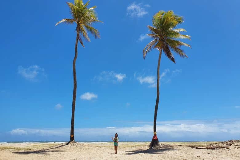 Explore as Dunas e Coqueiros de Mangue Seco em Uma Excursão Inesquecível!