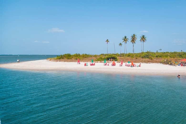 Explore as Maravilhas Naturais de Cabo Santo Agostinho com Passeio de Buggy Incluído!