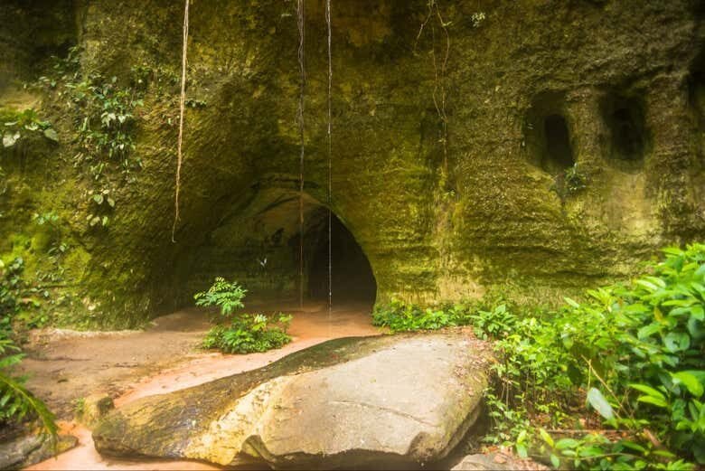 Excursão às Cataratas de Presidente Figueiredo: Natureza Amazônica a Partir de Manaus!