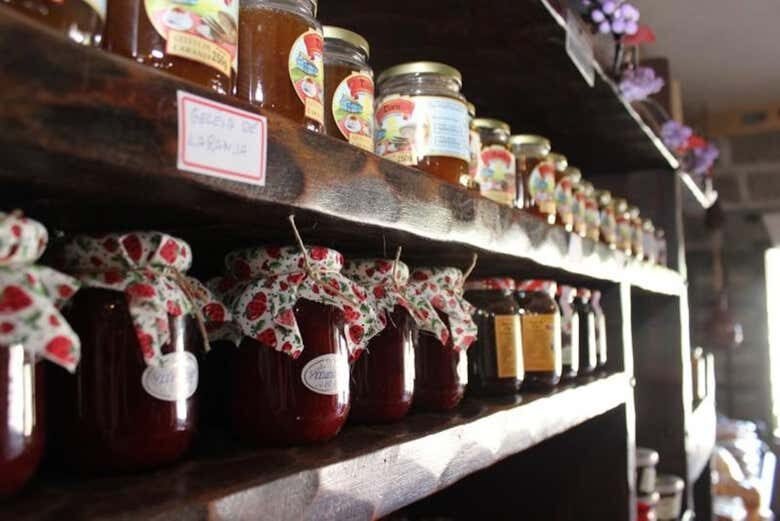 Tour Caminho dos Vinhos: Sabores e Tradição Italiana em Curitiba!