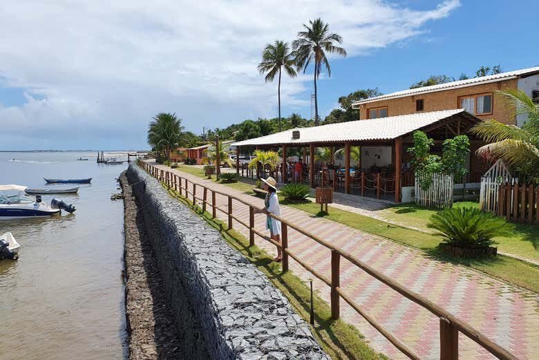 Explore as Dunas e Coqueiros de Mangue Seco em Uma Excursão Inesquecível!