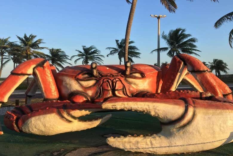 Explore os Encantos de Aracaju e Relaxe na Praia de Aruana!