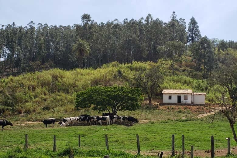 Explore o Interior Paulista: Monte Sião, Serra Negra, Amparo e Pedreira!