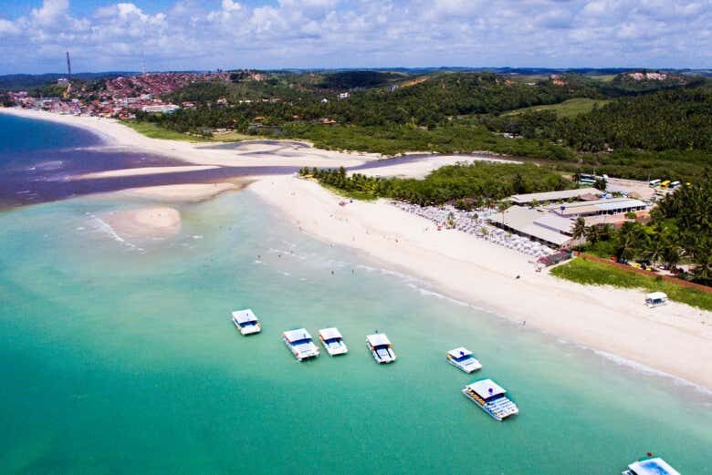 Excursão a Maragogi - Mergulhe nas Águas Cristalinas!