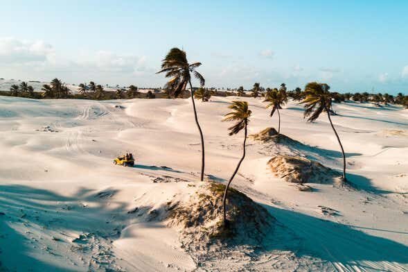 Explore as Dunas e Coqueiros de Mangue Seco em Uma Excursão Inesquecível!