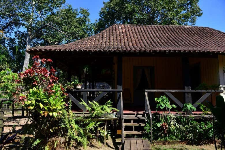 Descubra a História da Borracha em um Fascinante Tour pelo Museu do Seringal!
