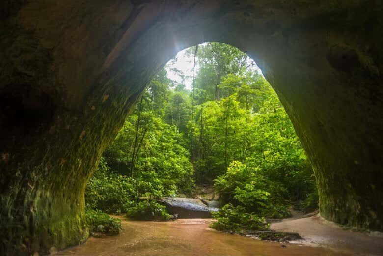 Excursão às Cataratas de Presidente Figueiredo: Natureza Amazônica a Partir de Manaus!