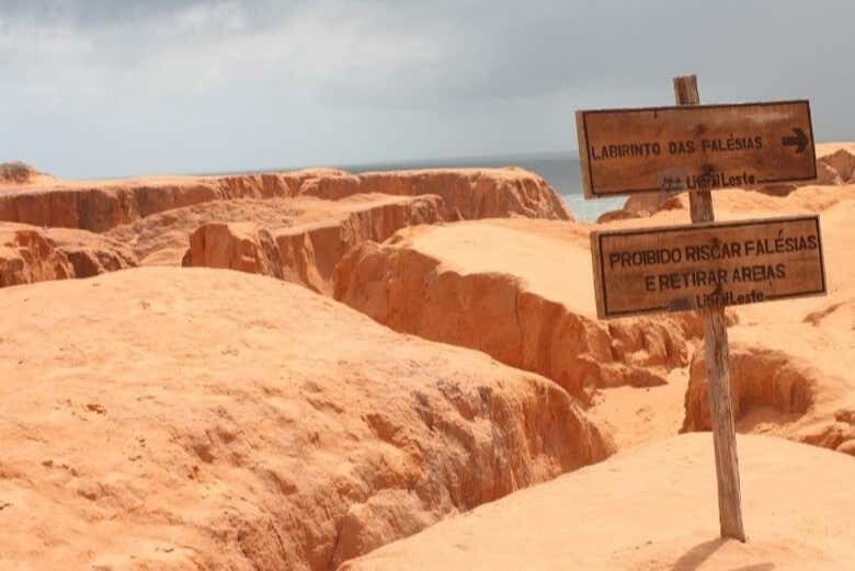 Três Paraísos do Ceará em Um Só Dia: Morro Branco, Fontes e Canoa Quebrada!