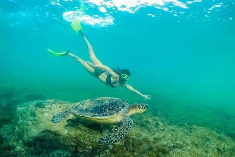Explore as Piscinas Naturais de Fernando de Noronha com Snorkel!