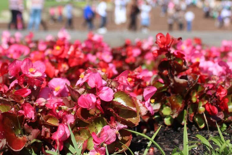 Descubra a Paz no Solo Sagrado de Guarapiranga!
