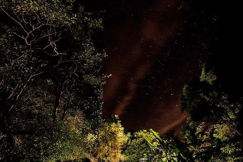 Avistamento Noturno de Jacarés no Rio Negro: Explore a Amazônia à Noite!