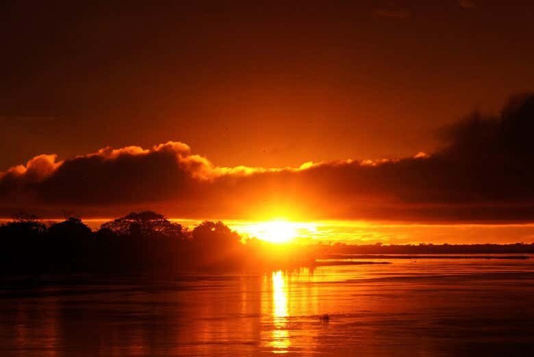 Avistamento Noturno de Jacarés no Rio Negro: Explore a Amazônia à Noite!
