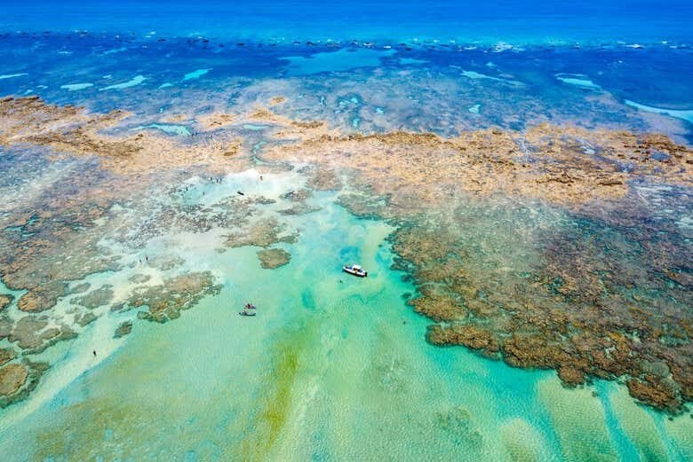Voo de Paramotor em Porto de Galinhas: Vista Aérea das Piscinas Naturais!