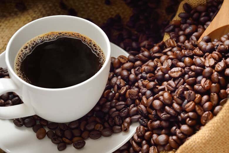 Visita à Fazenda Cafeeira Tozan: Uma Jornada Pelos Aromas e Sabores do Café!