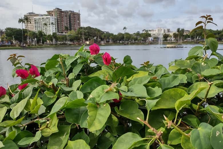 Descubra João Pessoa: A Capital Onde o Sol Nasce Primeiro!