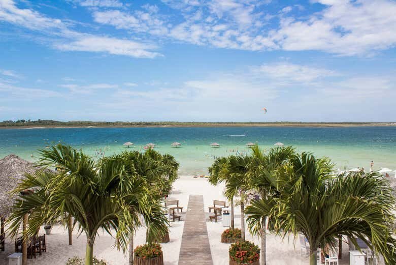 Rota Leste Encantada: Árvore da Preguiça + Lagoa do Paraíso em Jeri!